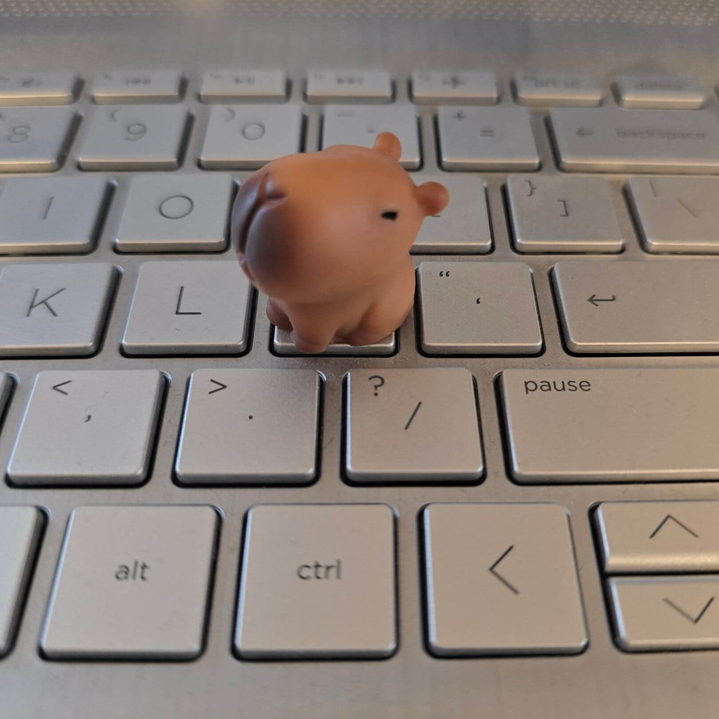 Capybara Desk Buddies