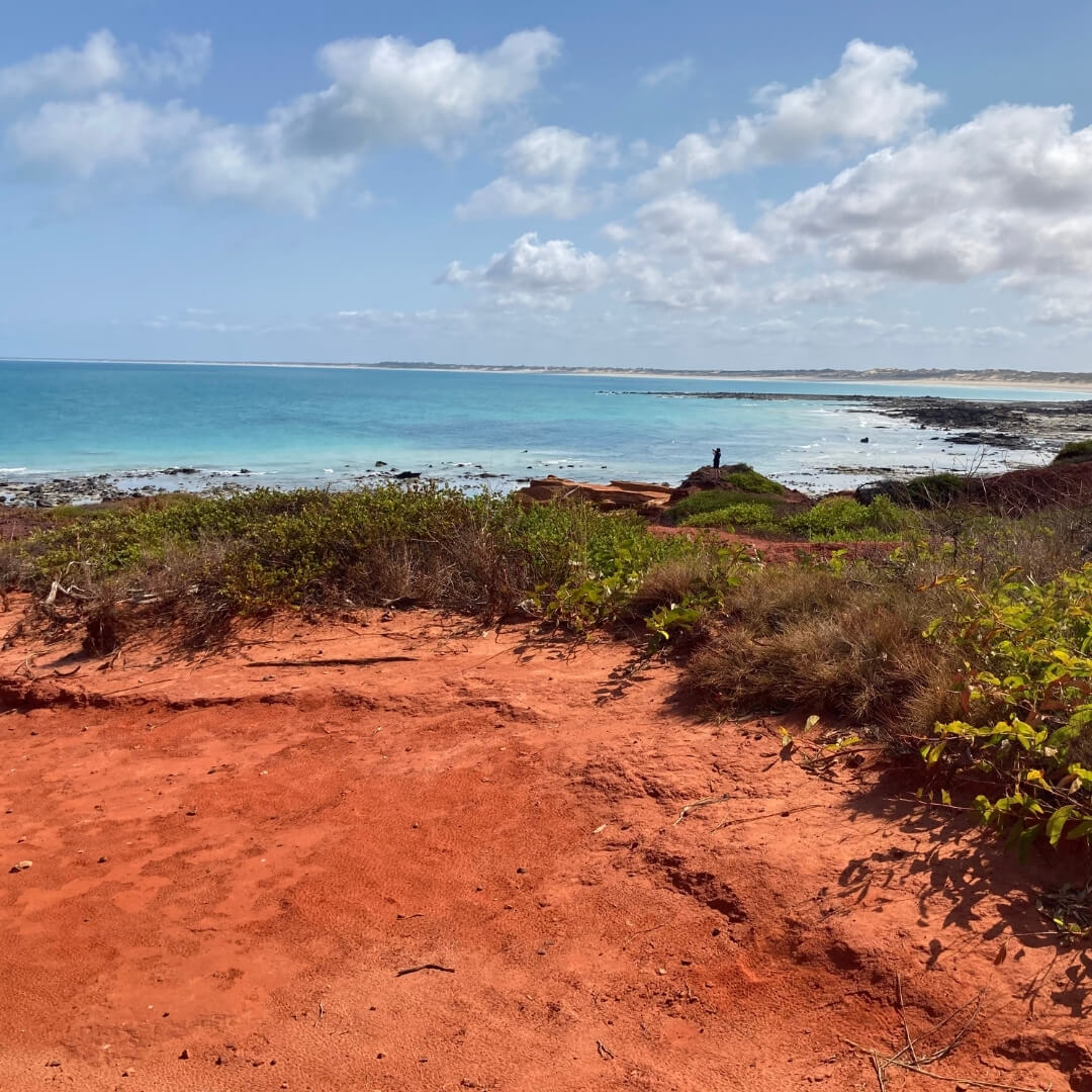 Sea Country Dreaming by Jacinta Walsh